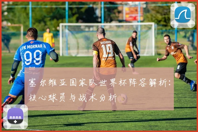 塞尔维亚国家队世界杯阵容解析：核心球员与战术分析